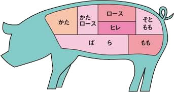 豚に関する豆知識